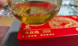 Featured image of post 人人都想做风口上的猪，普通人未来的机会还是在难而正确的事情中