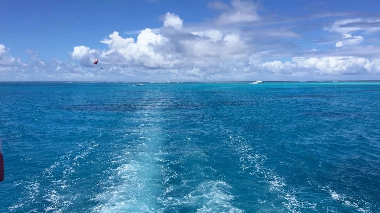 Featured image of post 又是一年开学季