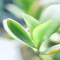 继续苟着还是离场
