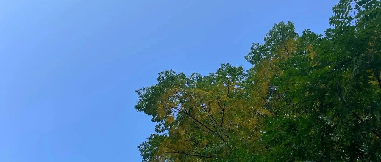 Featured image of post 工具控