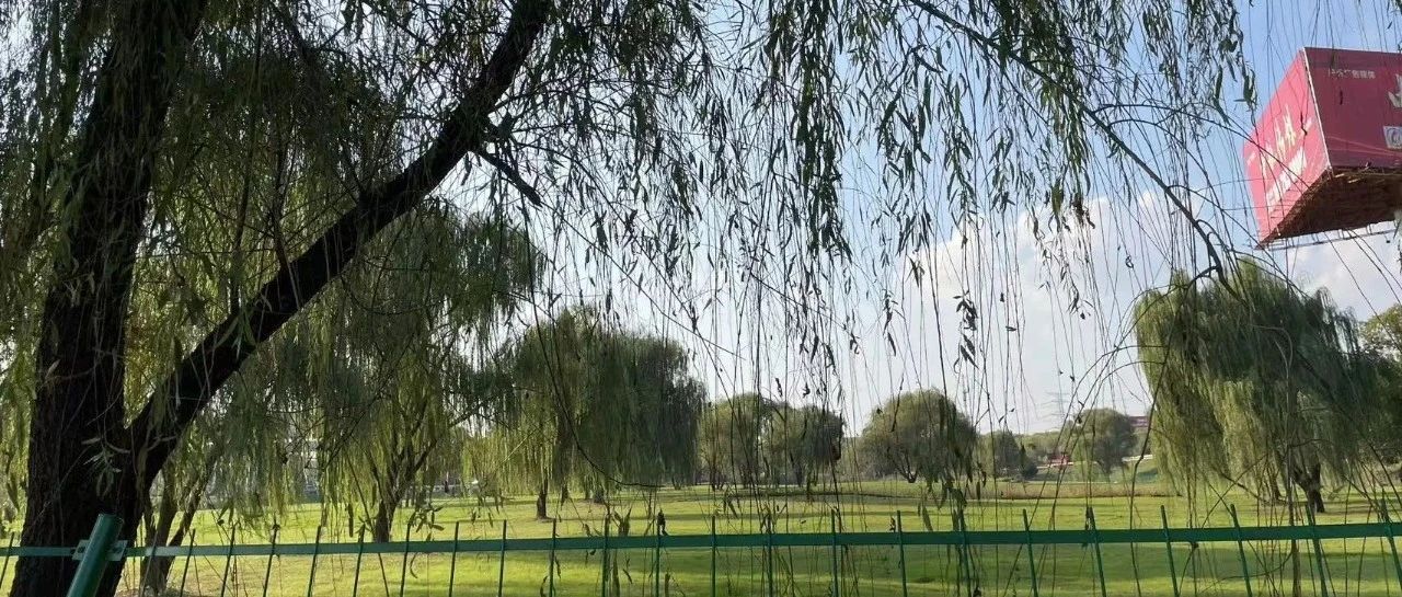 Featured image of post 决定房价的背后逻辑