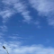 预期