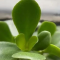 GTD时间管理的核心是定义Project项目