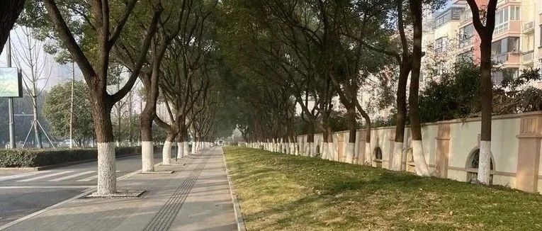 Featured image of post 南方小土豆和哈尔滨的冰火两重天