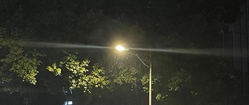 Featured image of post 宝总也撑不住了