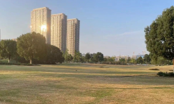 Featured image of post 广州、苏州全面放开限购所想到的