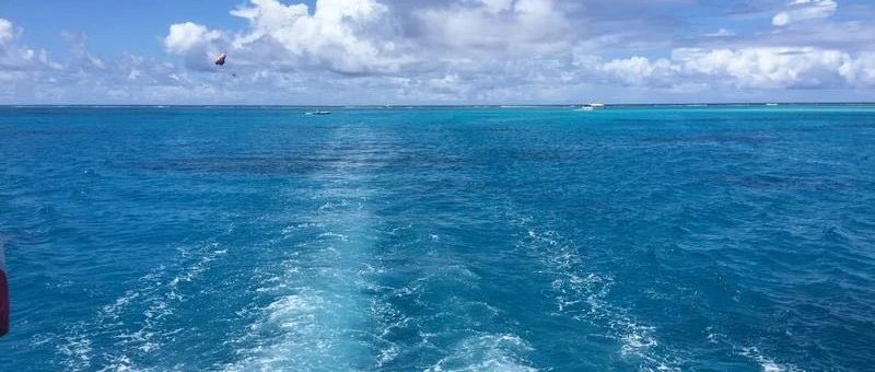 Featured image of post 我们的目标是星辰大海，走向深蓝