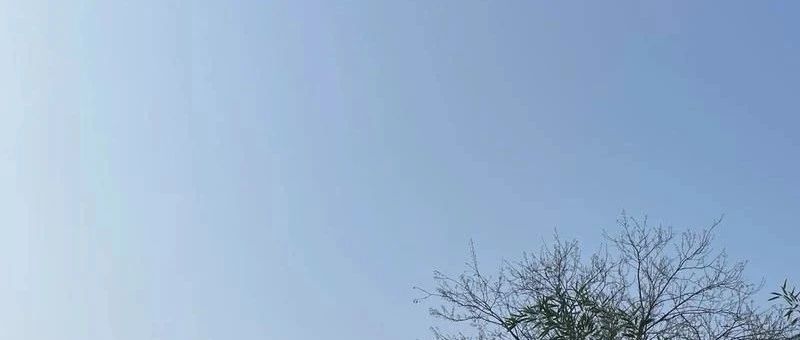 Featured image of post 构建人生系统从公开分享开始