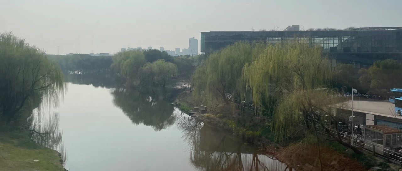 Featured image of post 邯郸三名未成年人杀人案