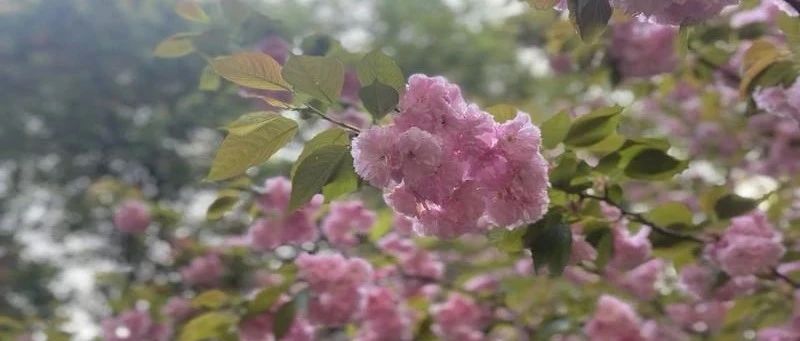 Featured image of post 人生系统，关于睡眠