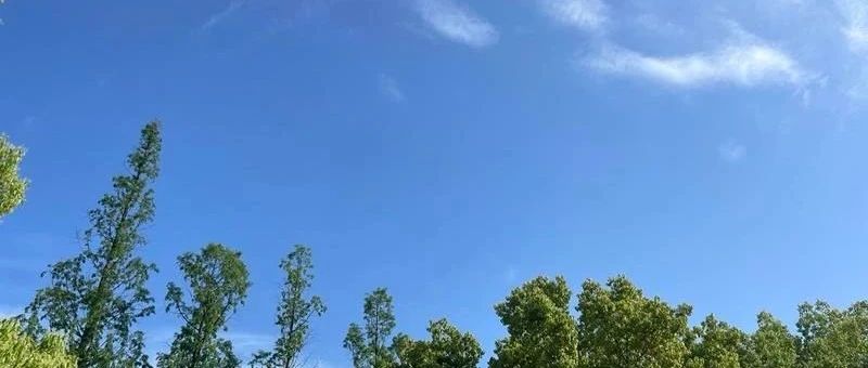 Featured image of post 终生职业落脚点，为什么是写作