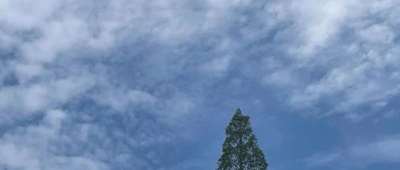 Featured image of post 当你深入一个领域后
