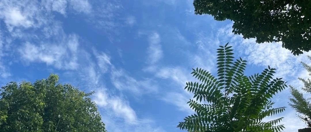 Featured image of post 熬过这个周期
