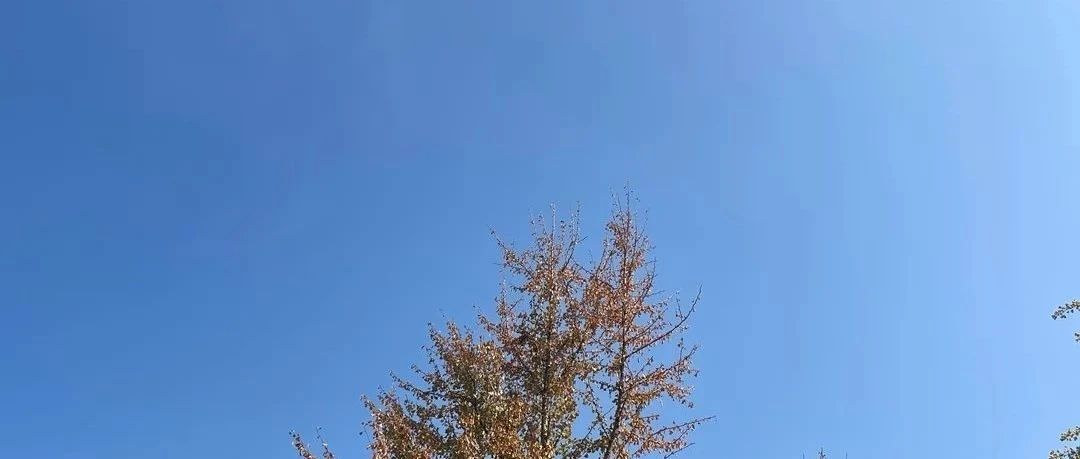 Featured image of post 摊牌了，不卷了