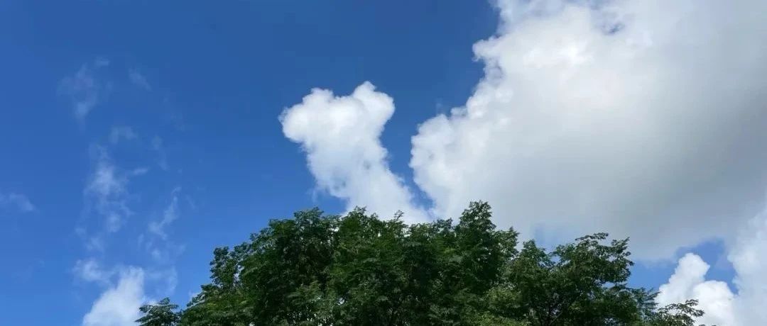 Featured image of post 管好自己最宝贵的资源