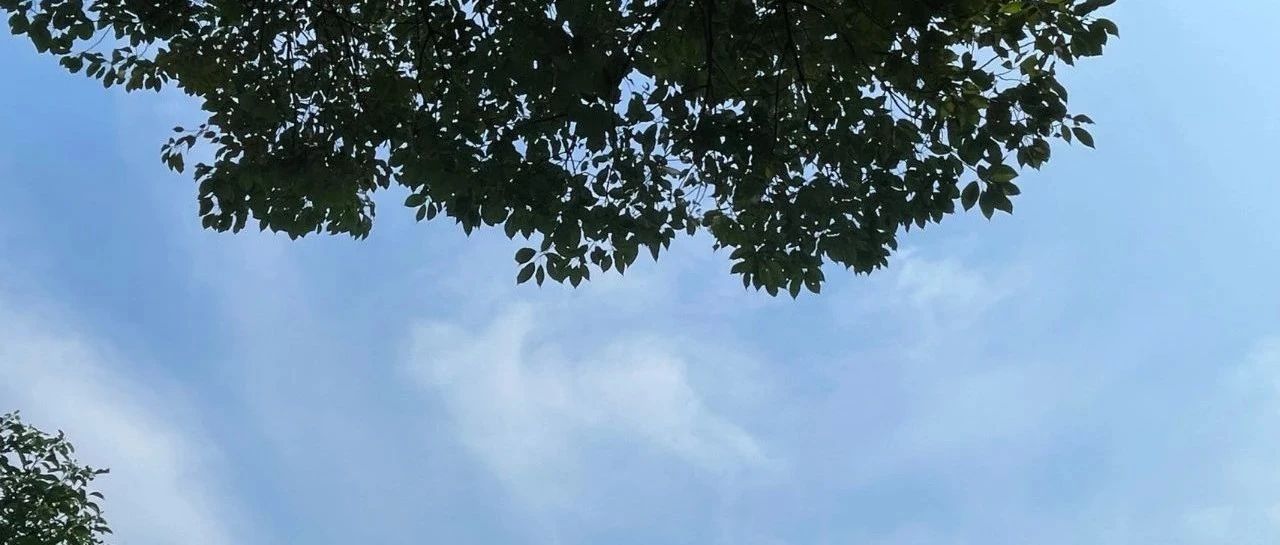 Featured image of post 2024年8月文章一览