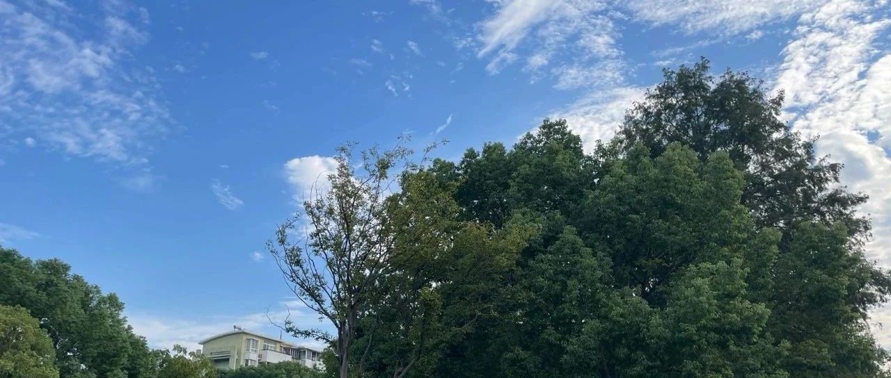 Featured image of post 这一天天的