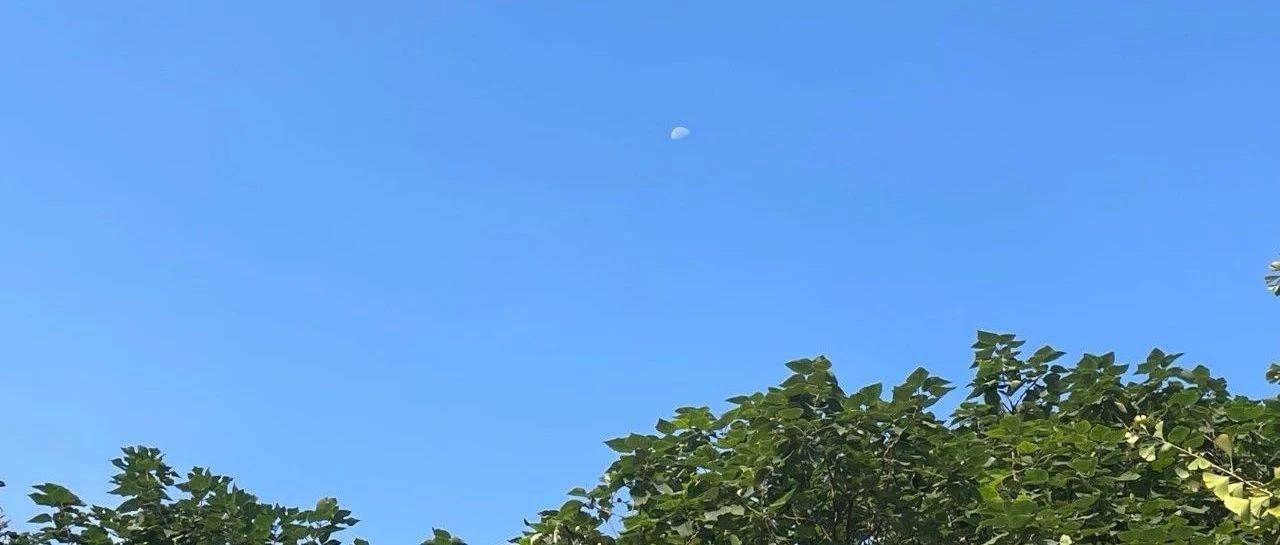 Featured image of post Notion 构建的人生系统也有缺陷