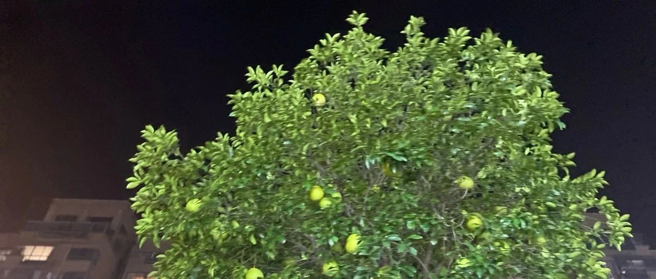 Featured image of post 总是有人不满意的