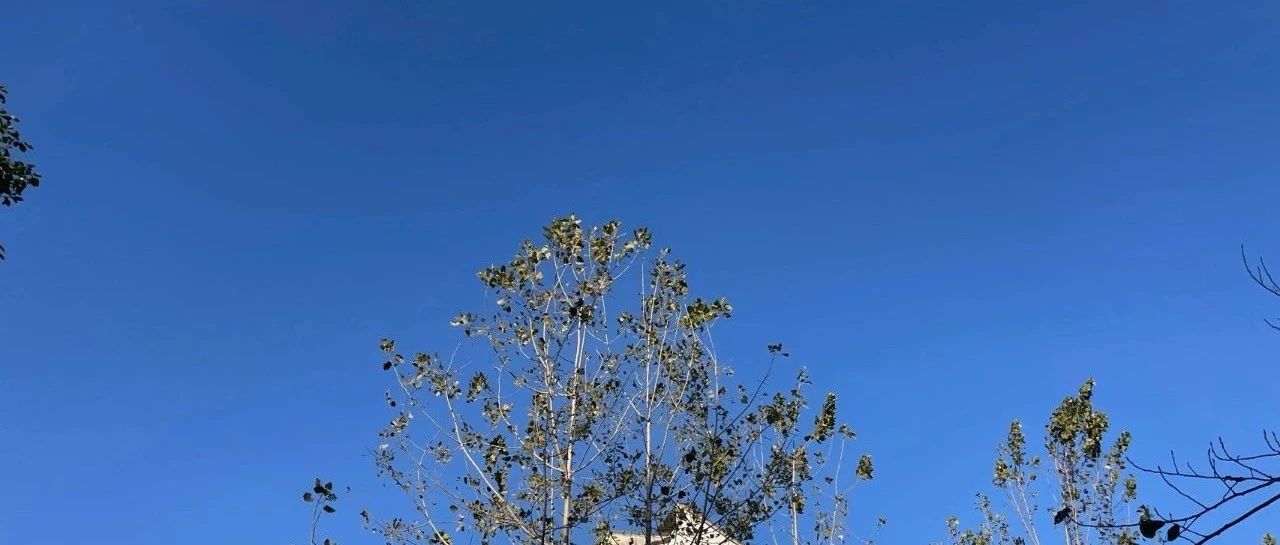 Featured image of post 如何缓解焦虑