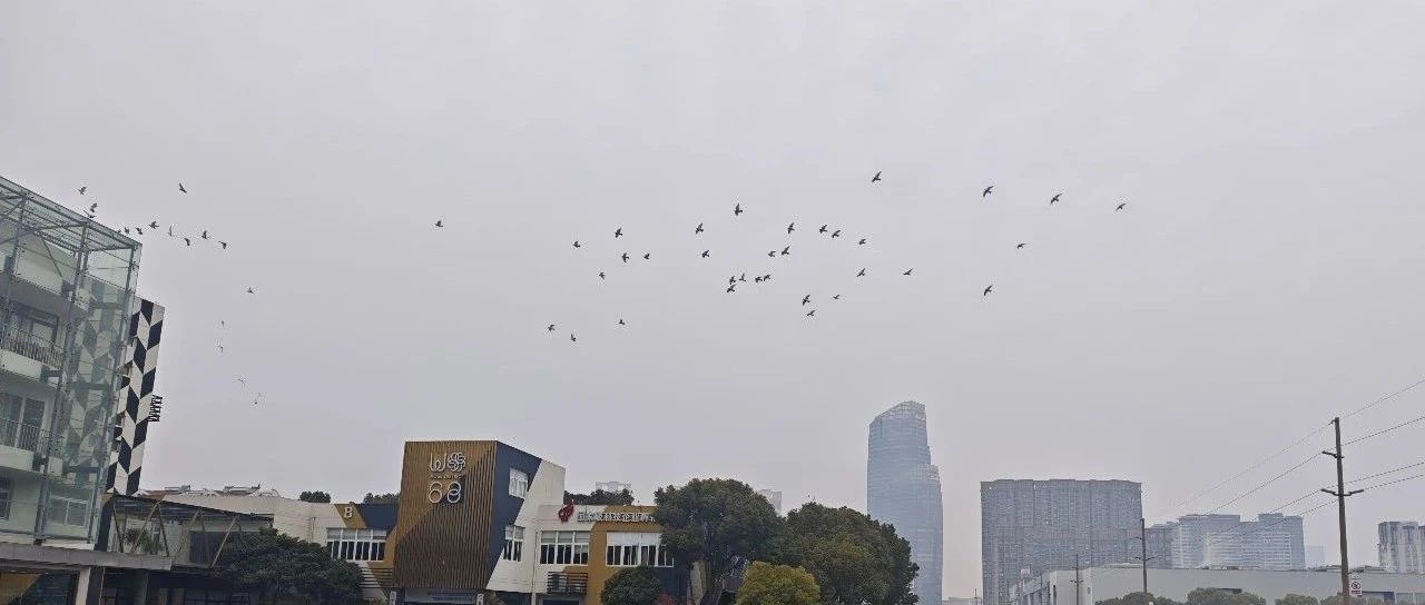 Featured image of post 寻找到你的终生职业
