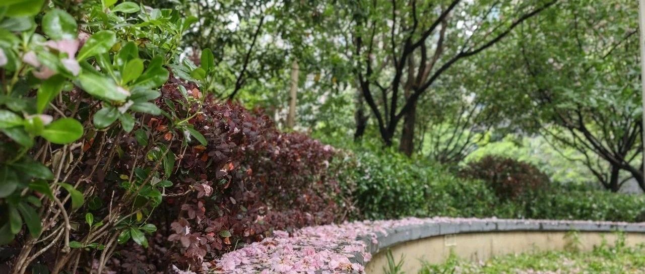 Featured image of post 小微团队是未来趋势