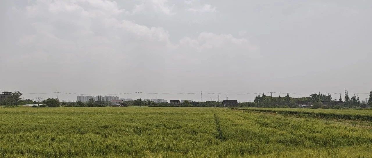 Featured image of post 公众号成长足迹