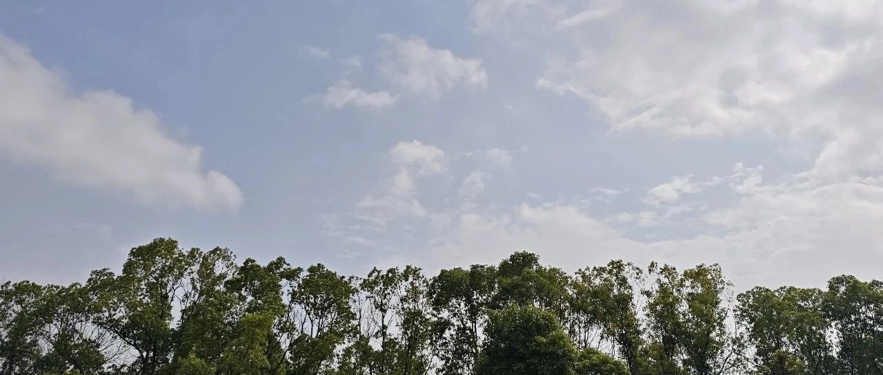 Featured image of post 人不能一直生活得太松弛