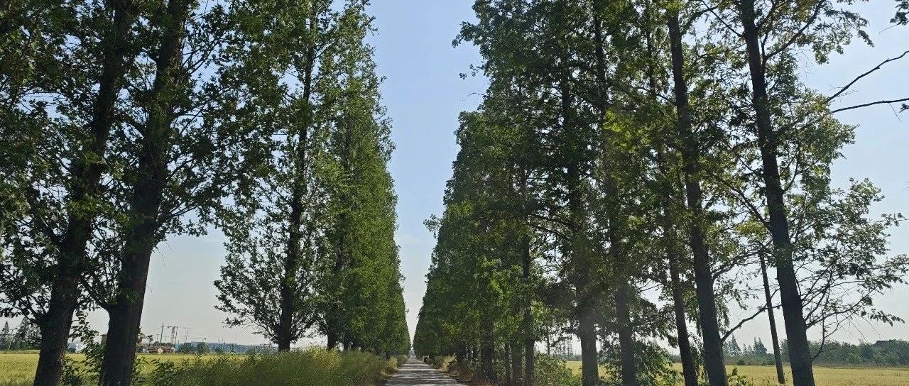 Featured image of post 执行早起计划