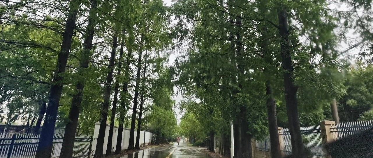 Featured image of post 为什么都建议做两个公众号？我有三个