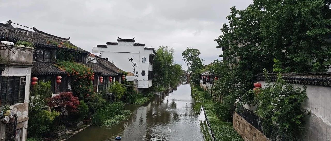 Featured image of post 泡泡玛特的「无用」与永恒