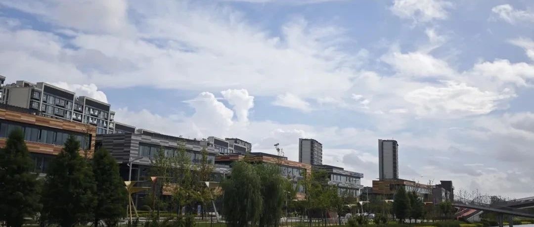 Featured image of post 当再就业成为主旋律
