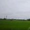 麦田的能量场