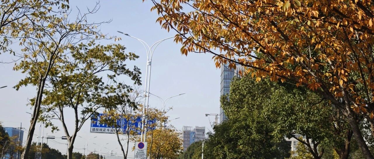Featured image of post 养成农场思维，让自己乐而忘忧