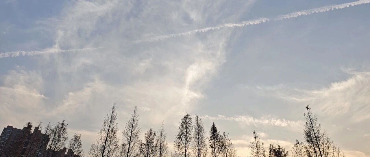Featured image of post 用什么来填补朋友圈淡出的空白