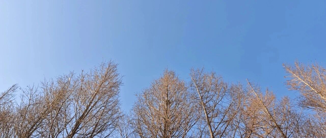 Featured image of post 把 「我不知道」变成理所当然