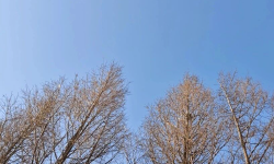Featured image of post 把 「我不知道」变成理所当然
