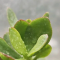 春节互联网事件之最孤独的婚车
