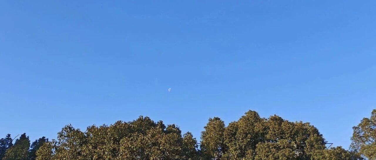 Featured image of post 中年人何以再就业