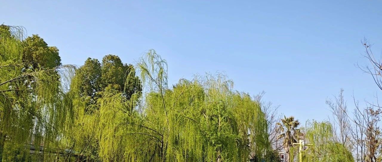 生活中的大部分问题都是 「懒」 造成的