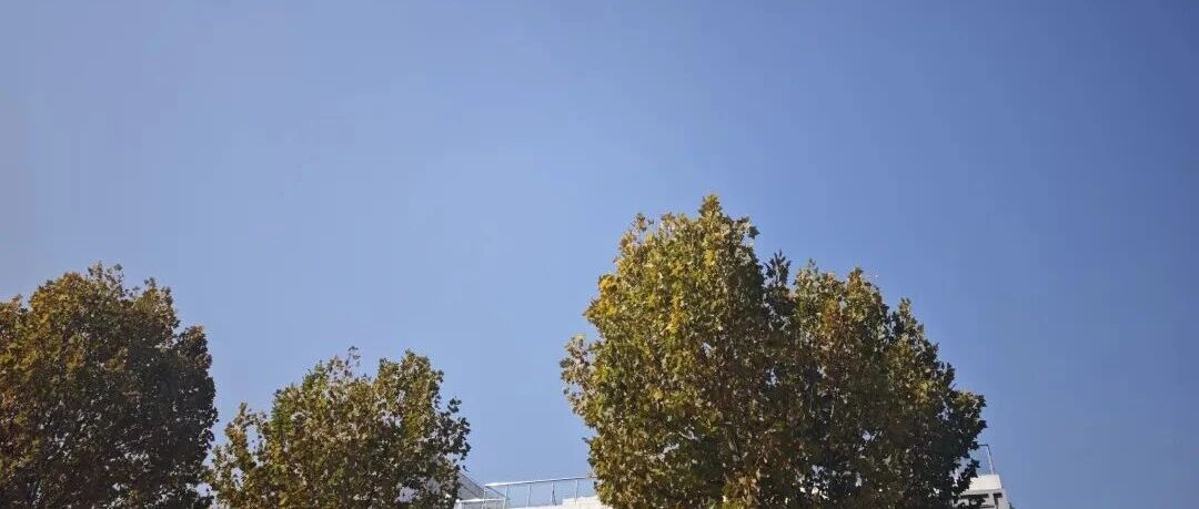 几句真话，以及如何找到未来的方向