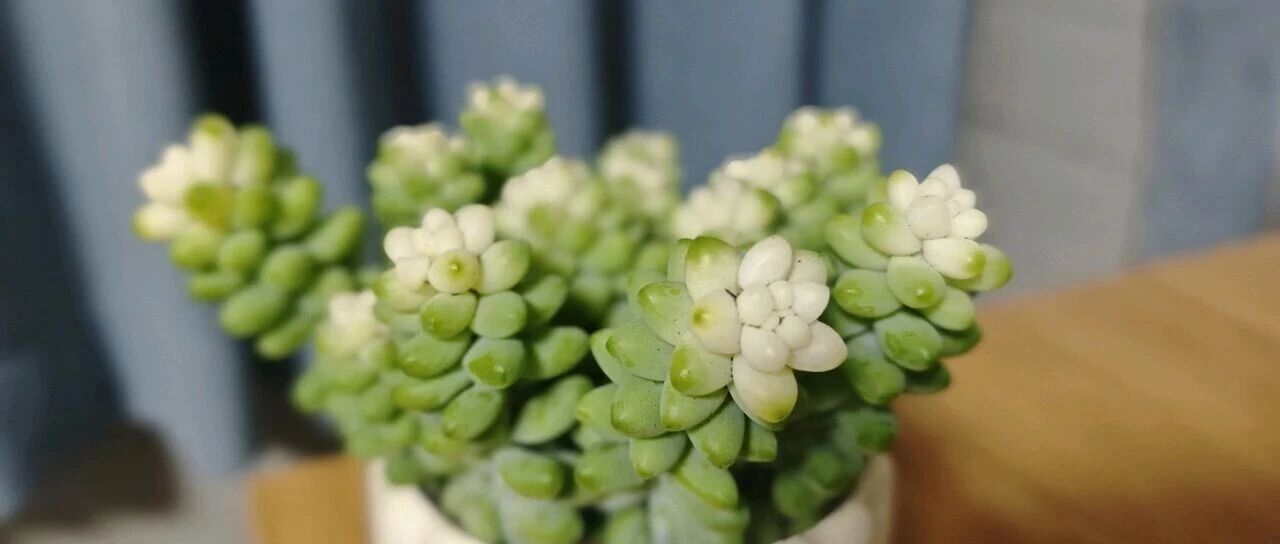 维持一个熵减系统，避免陷入自责和丧的恶性循环