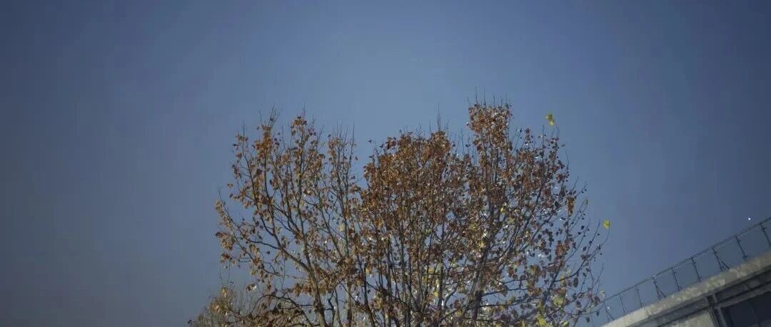 人生两件大事——睡眠和运动