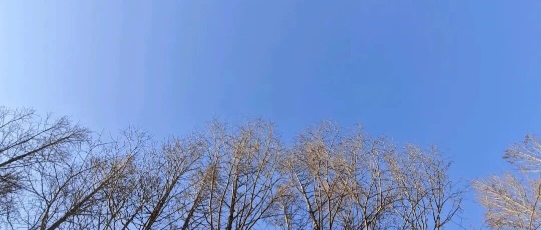 年末焦虑蔓延：如何管理情绪，避免工作生活脱轨？