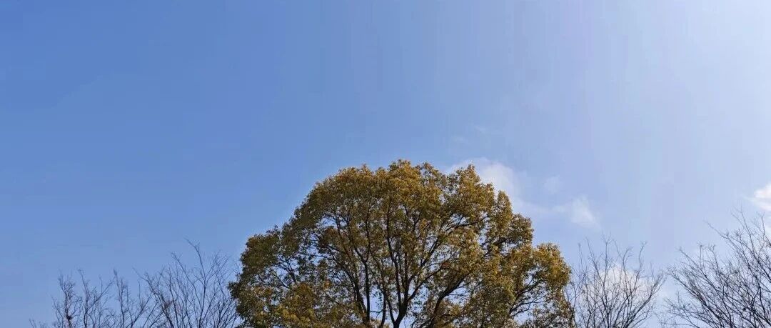 养一个智能员工