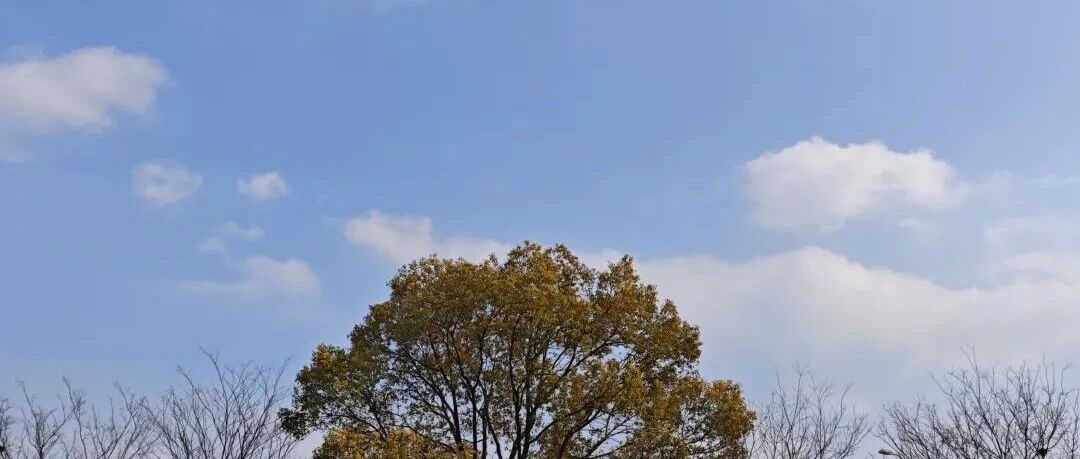 工作日为什么还有那么多人在闲逛