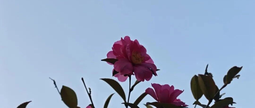 我为什么坚持自己生产内容