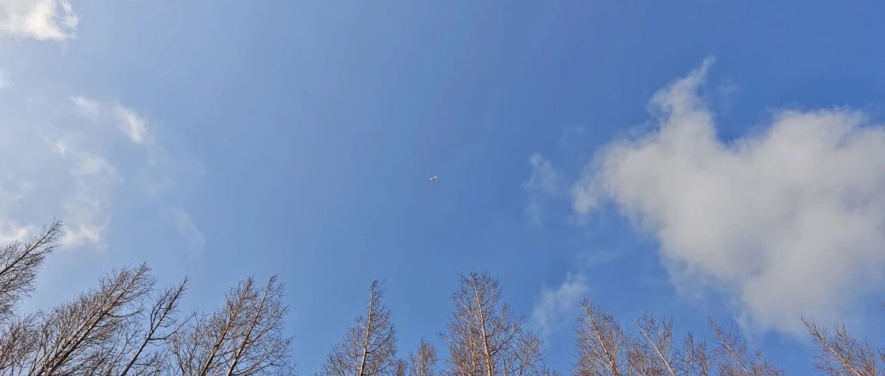 运动真的能改造大脑