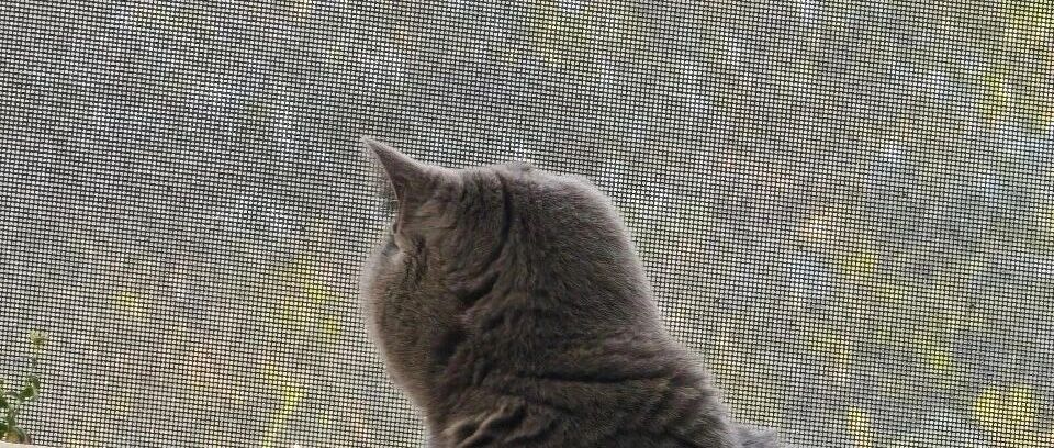 只有写，才会写