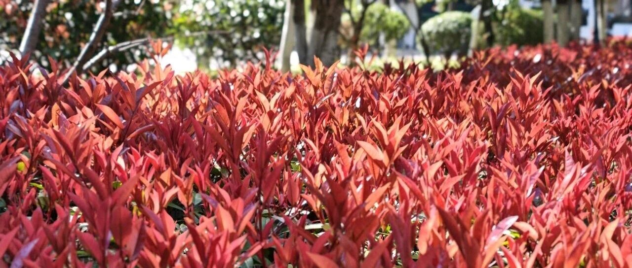 工具而已，拿起来就用才是最好的